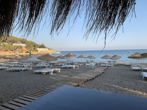 Shots from the Beach